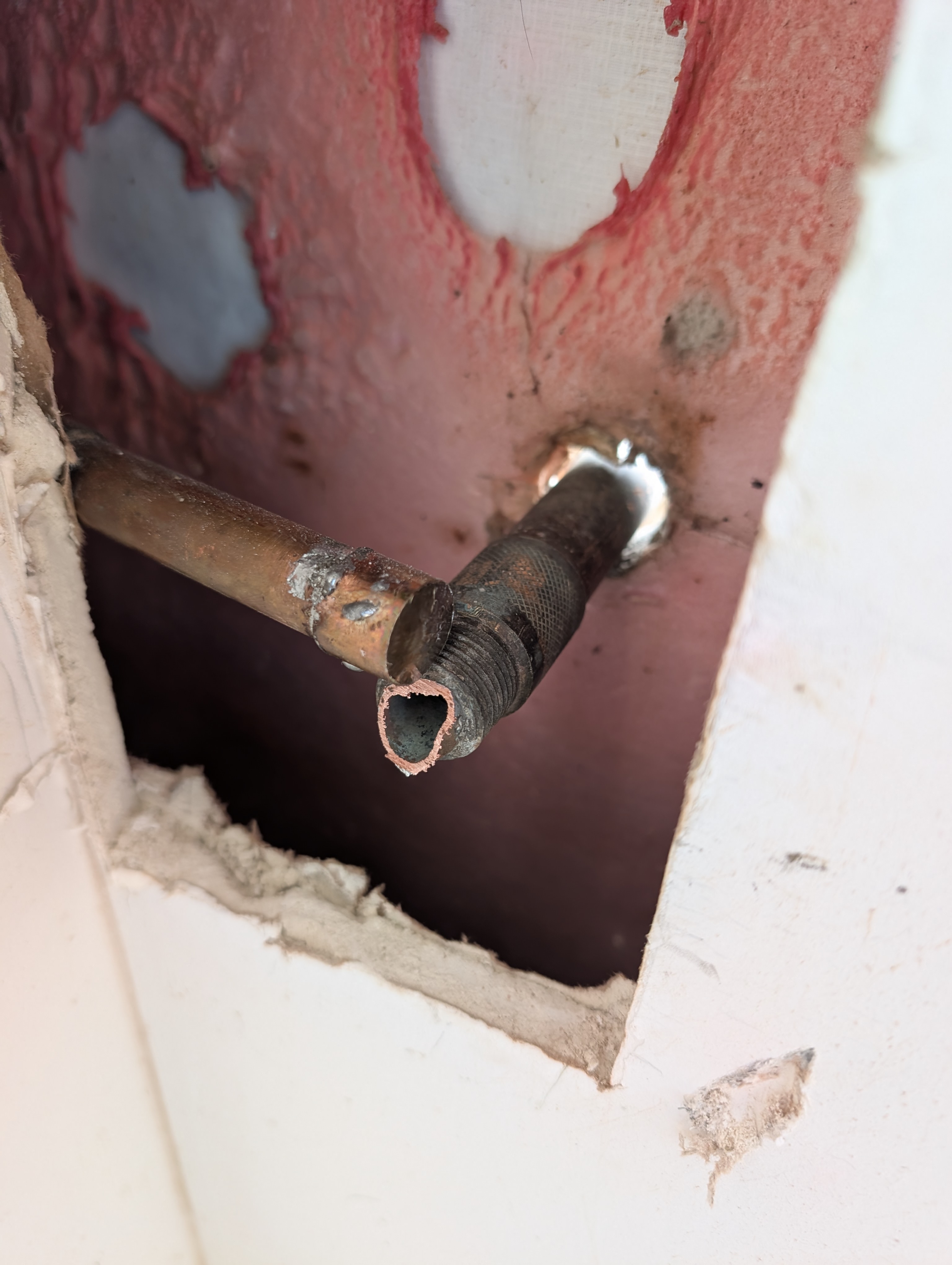 pxl 20260108 141840165