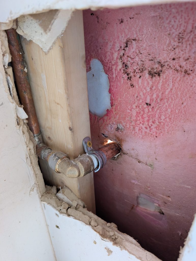 pxl 20260108 172539845